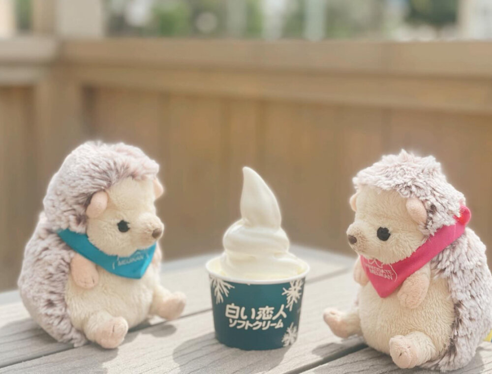 函館　美品　丸石　ふらつか〜ず 函館 美品 丸石 ふらつか〜ず 函館 美品 丸石 ふらつか〜ず